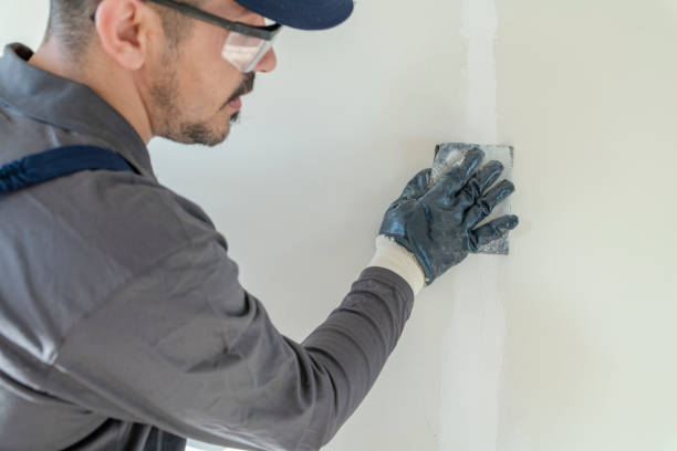 Best Fire-Damaged Drywall Repair  in Plymouth, WI